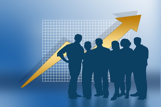 business-idea-647205_640 expertise